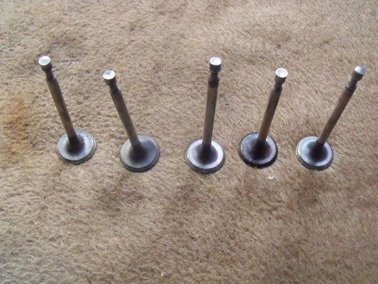 Kawasaki FA210D Einlassventil 12004-2068 - Treckerflickershop