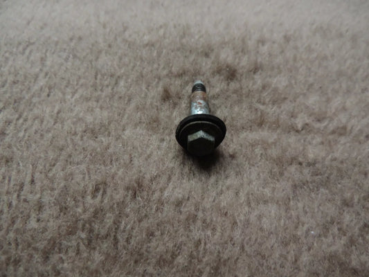 Briggs & Stratton Schraube für Tank Quantum 692311 - Treckerflickershop