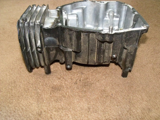 Briggs & stratton Zylinder für Quantum Serie 600 OHV Motor 798947 - Treckerflickershop