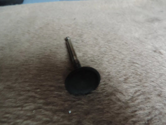 Briggs & Stratton Einlassventil Quantum Serie 600 590393 - Treckerflickershop