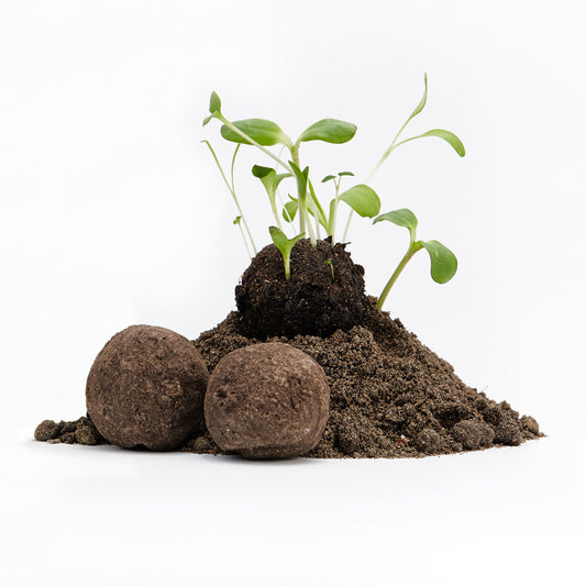 Lose Wildblumen-Samenbomben, unverpackt