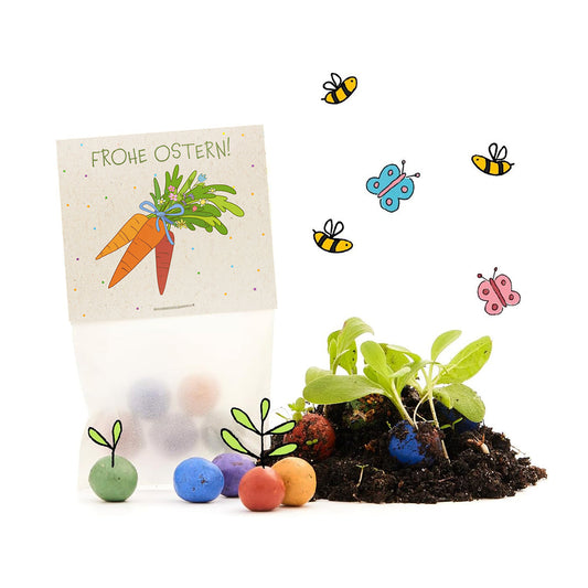 10x5 Blumenmurmeln im Tütchen "Möhren"