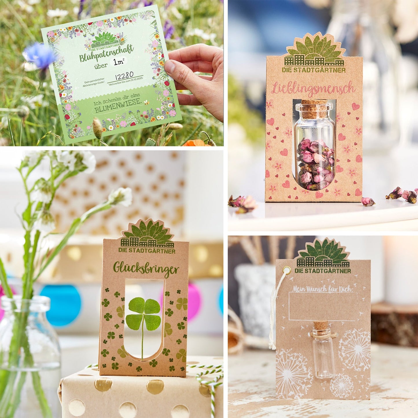 12er Set für deinen Adventskalender