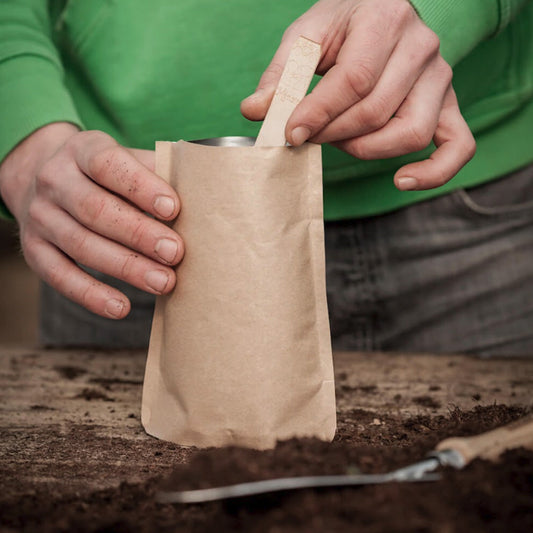 Hochwertige Anzuchterde (600 g)