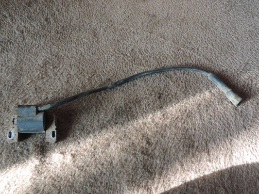 Briggs & Stratton Zündspule 799650 - Treckerflickershop