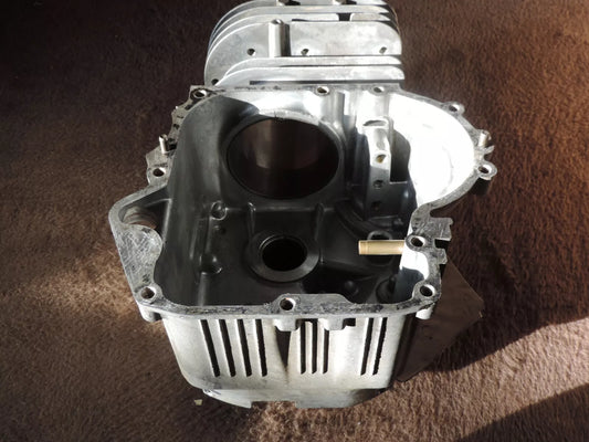 Briggs & Stratton Zylinder für Model 21B807 Motor 697377 - Treckerflickershop