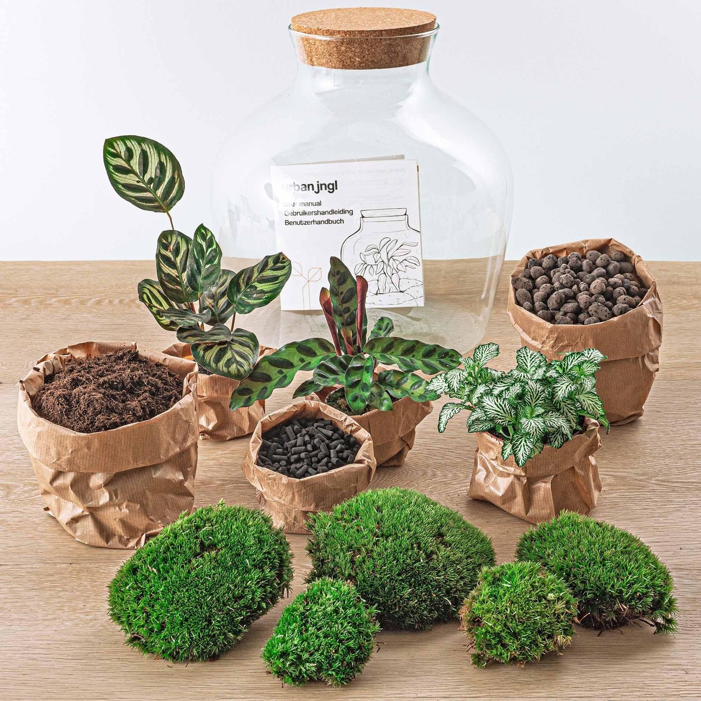Flaschengarten DIY Bausatz Fat Joe – Terrarium Set mit Pflanzen, Moos & Zubehör – Ø29cm ↕30cm – Selbstversorgendes Pflanzterrarium mit 5-Schritte-Anleitung