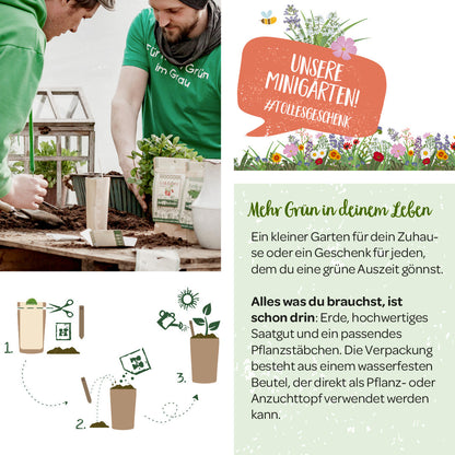 Anzuchtset – Minigarten Lauchzwiebel