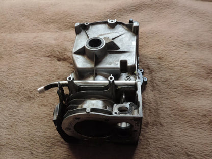 Briggs & stratton Zylinder für Sprint Serie 300 Motor 699653 - Treckerflickershop