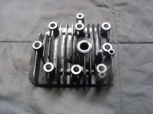 Briggs&Stratton Zylinderkopf 790169