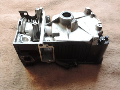 Briggs & stratton Zylinder für Sprint Serie 300 Motor 699653 - Treckerflickershop