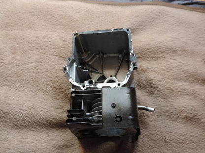 Briggs & stratton Zylinder für Sprint Serie 300 Motor 699653 - Treckerflickershop