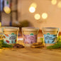 Festliches Anzucht-Set – 3 weihnachtliche Sorten