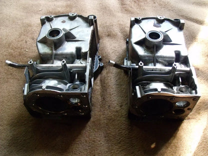 Briggs & stratton Zylinder für Sprint Serie 300 Motor 699653 - Treckerflickershop