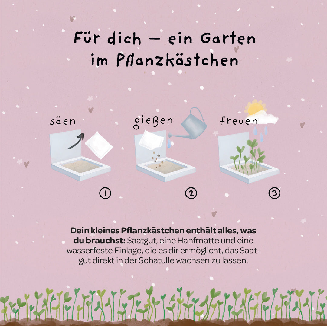 Pflanzkästchen - Danke wachsen