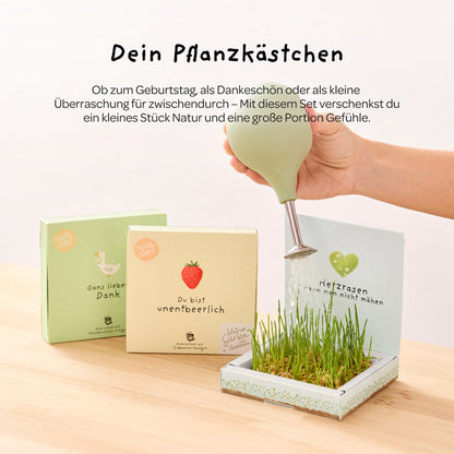 Pflanzkästchen - Danke wachsen