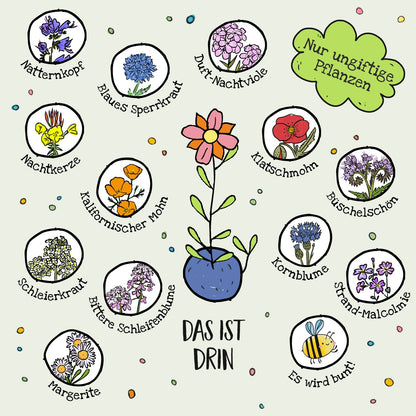 6 bunte Blumenmurmeln im Eierkarton