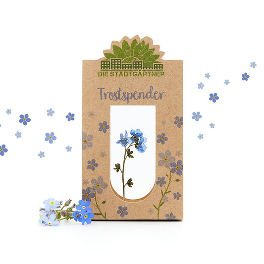 Trostspender – Echtes Vergissmeinnicht