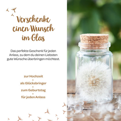 Großer Wunscherfüller – Pusteblume im Glas