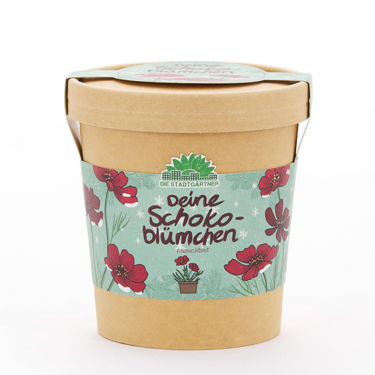 Schokoblumen aus dem Becher