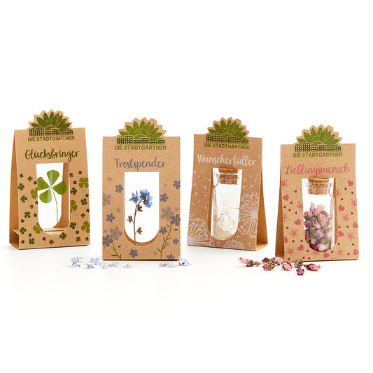 Set mit 4 Emotionsbringern