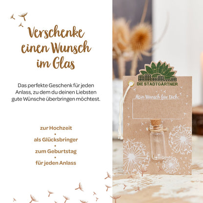 Kleiner Wunscherfüller