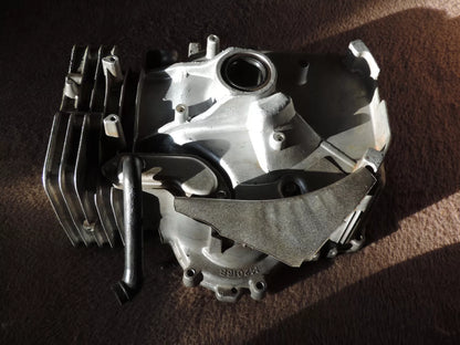 Briggs & Stratton Zylinder für Model 21B807 Motor 697377 - Treckerflickershop