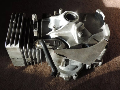 Briggs & Stratton Zylinder für Model 21B807 Motor 697377 - Treckerflickershop