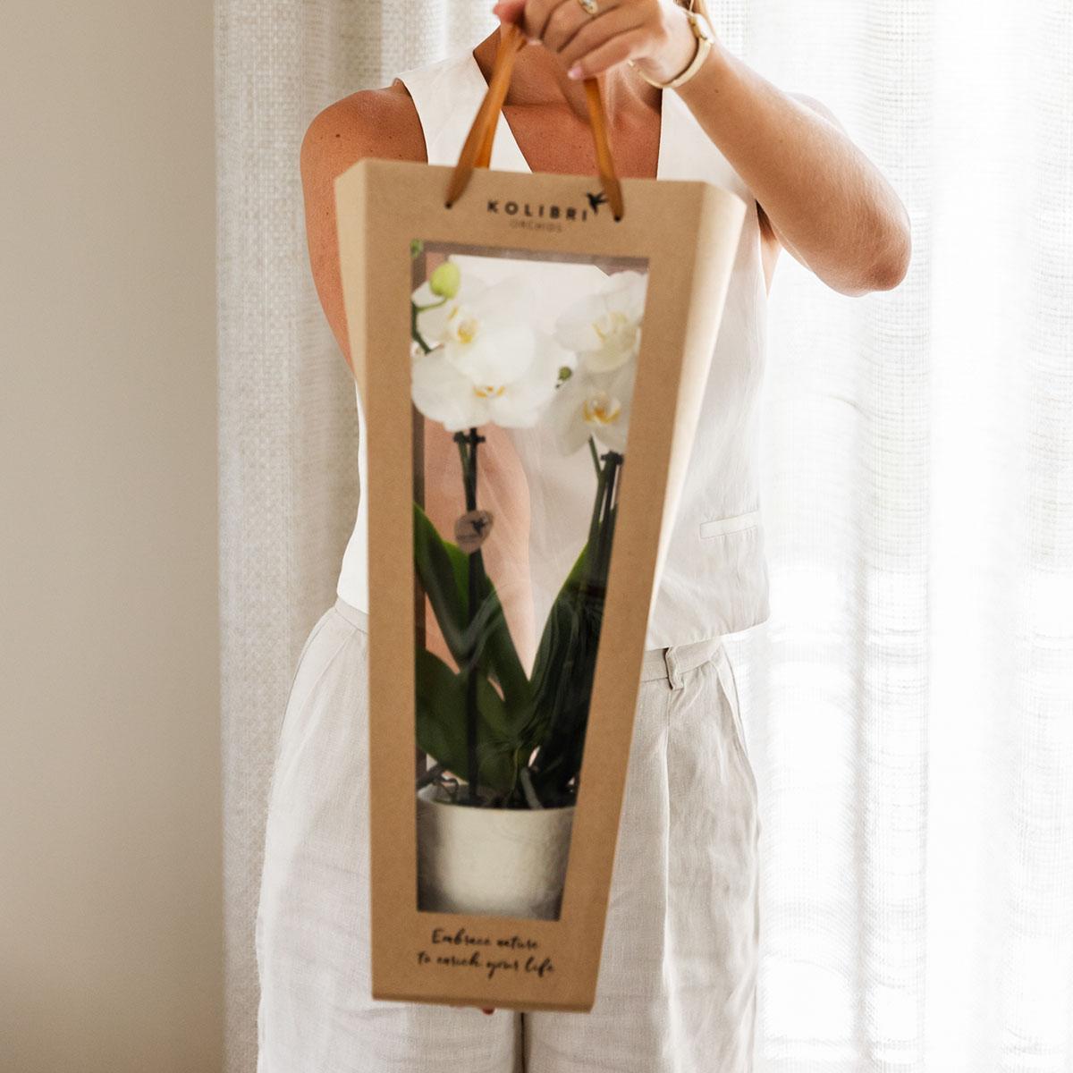 Pflanzengeschenk „Gute Besserung“ – Weiße Phalaenopsis Orchidee Ø9cm im Dekotopf – Inklusive Geschenktasche & Grußkarte „Get well soon“ – Blühende Zimmerpflanze als Genesungsgruß