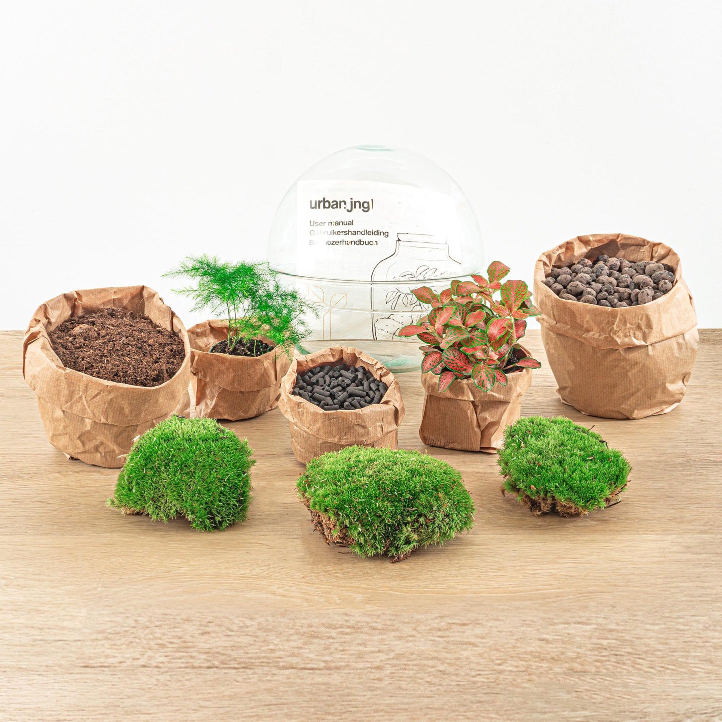 DIY Flaschengarten Set – Dome Glas Rot – Ø20 cm x H20 cm – Selbstversorgendes Pflanzterrarium mit Fittonia, Spargel & Moos – Mini-Ökosystem zum Selberbauen – Deko & Geschenkidee – Pflegeleicht