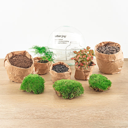 DIY Flaschengarten Set – Dome Glas Rot – Ø20 cm x H20 cm – Selbstversorgendes Pflanzterrarium mit Fittonia, Spargel & Moos – Mini-Ökosystem zum Selberbauen – Deko & Geschenkidee – Pflegeleicht